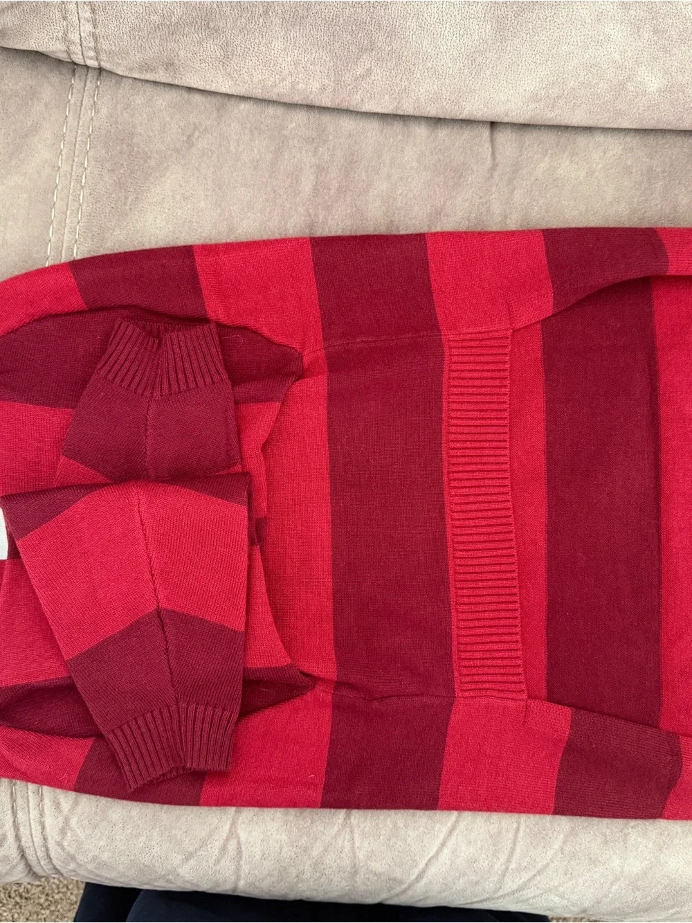 Greyhound Dog Red Striped Polo Sweater with White Collar